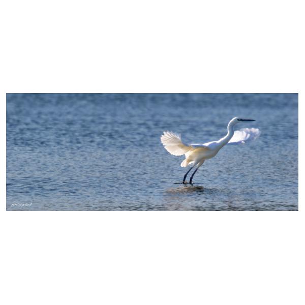 PHOTO84, CLUB, 84 , LUBERON